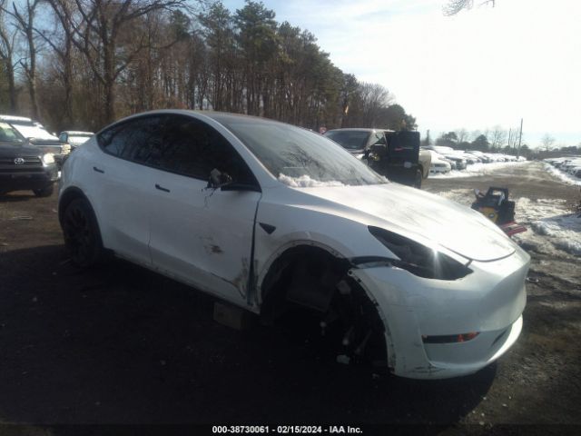 2021 TESLA MODEL Y 5YJYGDEE3MF250303 Photo 5