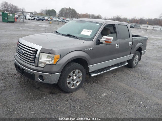 2010 FORD F-150 FX2 SPORT/XL/XLT VIN: 1FTEW1C85AFD32056