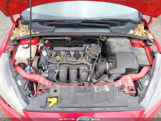 Ford FOCUS SE 2016 1FADP3K28GL245690 Image 10