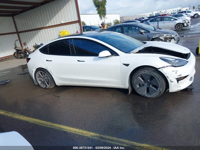 Tesla Model 3 Long Range Dual Motor All-wheel Drive 2021 5YJ3E1EB0MF003776 Image 13