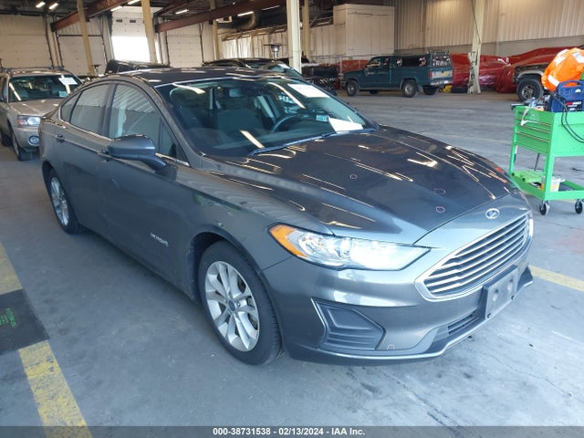 2019 3FA6P0LU7KR179716 main image
