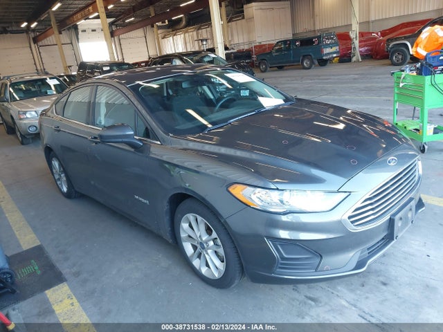 Ford Fusion Hybrid Se 2019 3FA6P0LU7KR179716 Image 13