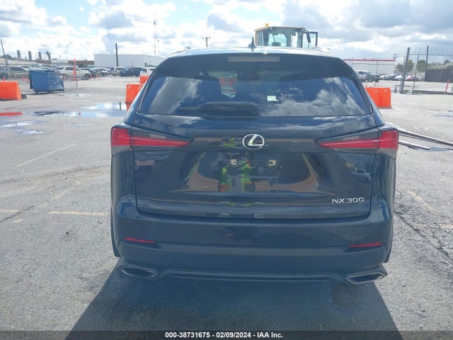 2020 LEXUS NX 300 VIN: JTJGARDZ1L5002188
