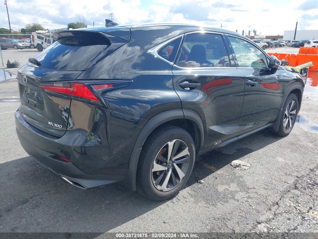 2020 LEXUS NX 300 VIN: JTJGARDZ1L5002188