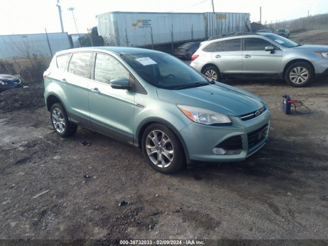 2013 FORD ESCAPE 1FMCU9H91DUA07669