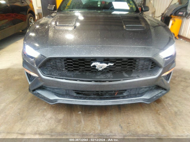 Ford Mustang Ecoboost 2019 1FA6P8TH9K5129291 Image 12