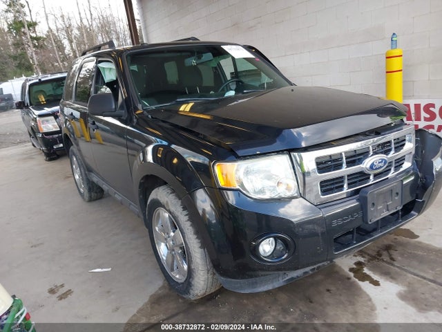 2011 FORD ESCAPE XLT VIN: 1FMCU9DG5BKA62350
