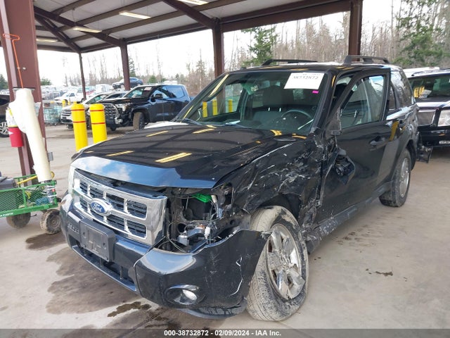 2011 FORD ESCAPE XLT VIN: 1FMCU9DG5BKA62350