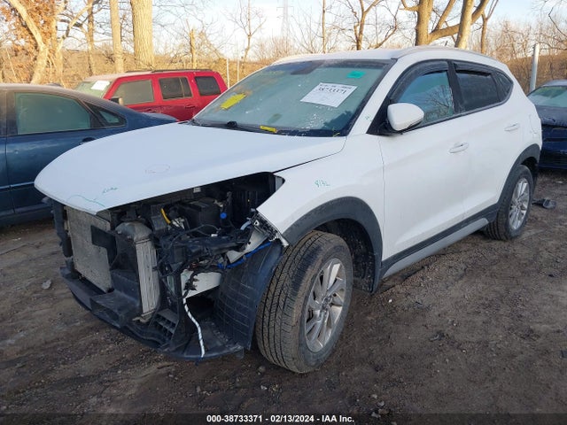 Hyundai Tucson Eco 2017 KM8J3CA28HU430954 Image 2