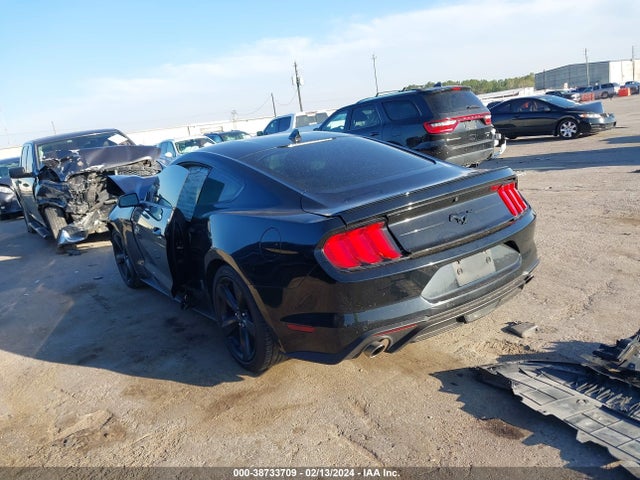 Ford Mustang Ecoboost Fastback 2022 1FA6P8TH2N5150858 Image 3