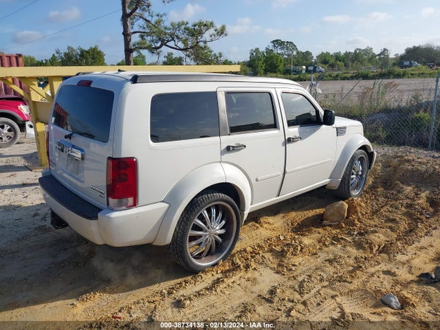 2010 DODGE NITRO SXT VIN: 1D4PT5GX5AW125650