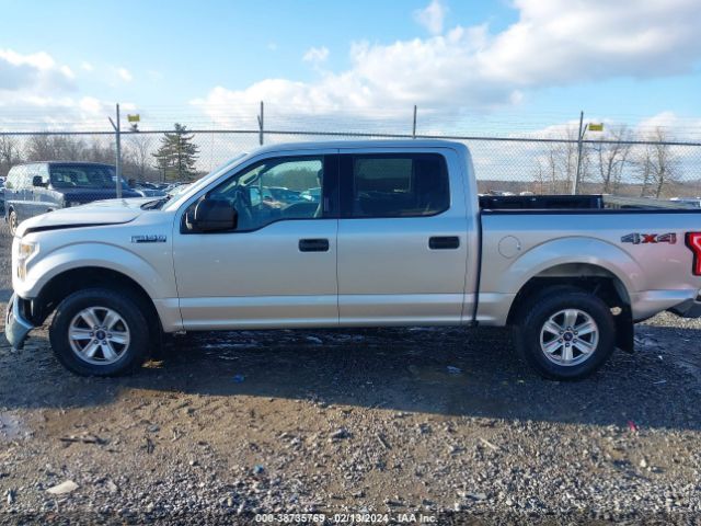 1FTEW1EF0FFB62739 Ford F-150 Xlt