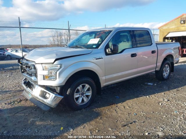 1FTEW1EF0FFB62739 Ford F-150 Xlt