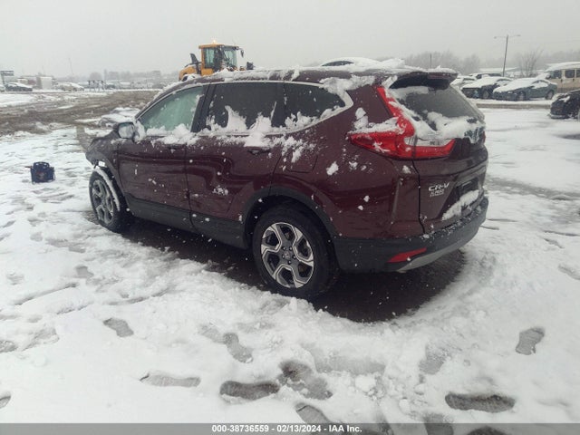 Honda CR-V EX 2019 2HKRW2H58KH628539 Image 3