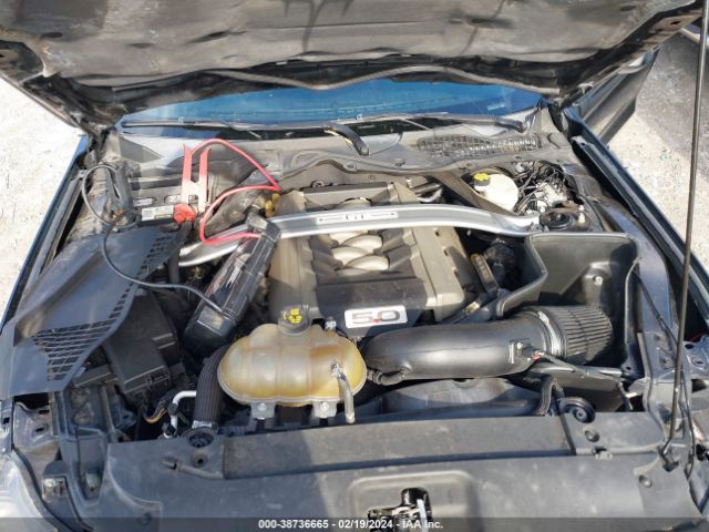 1FA6P8CF6F5358127 Ford Mustang Gt Premium
