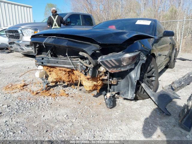 1FA6P8CF6F5358127 Ford Mustang Gt Premium