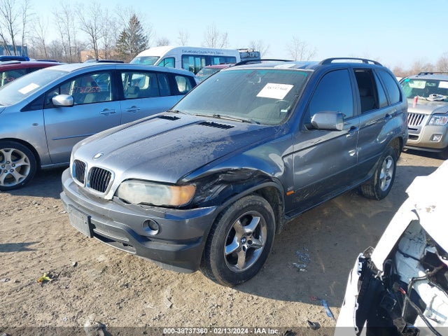 2002 BMW X5 3.0I VIN: 5UXFA53592LP45132