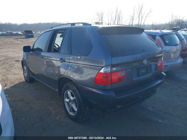 2002 BMW X5 3.0I VIN: 5UXFA53592LP45132