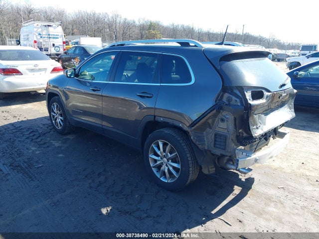 Jeep Cherokee Limited 4x4 2017 1C4PJMDB0HD227076 Image 3