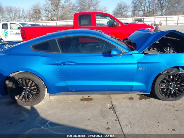 Ford MUSTANG GT 2019 1FA6P8CF0K5196313 Image 14