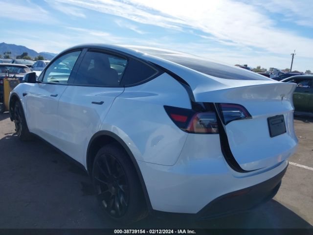 2023 TESLA MODEL Y 7SAYGDEE0PA129197 Photo 2