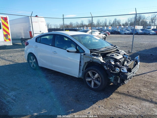 2018 3KPFL4A74JE261337 main image