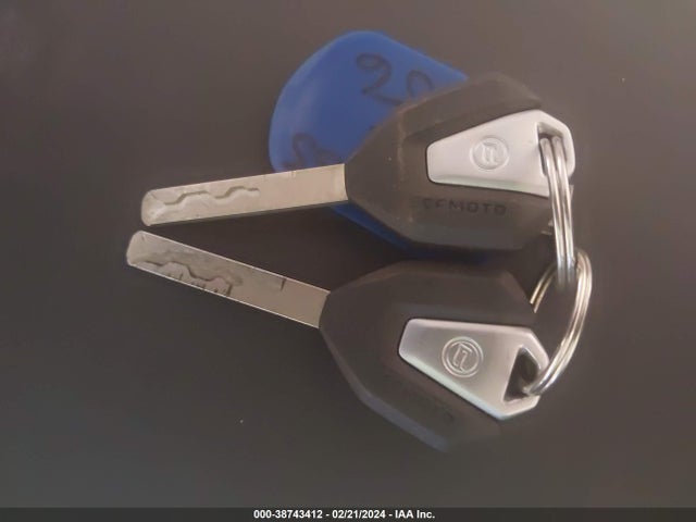 2022 CFHG 300 VIN: LCEPDPL38N6000656
