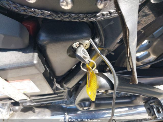 2009 TRIUMPH MOTORCYCLE AMERICA SMT905RN99T395487 Photo 10