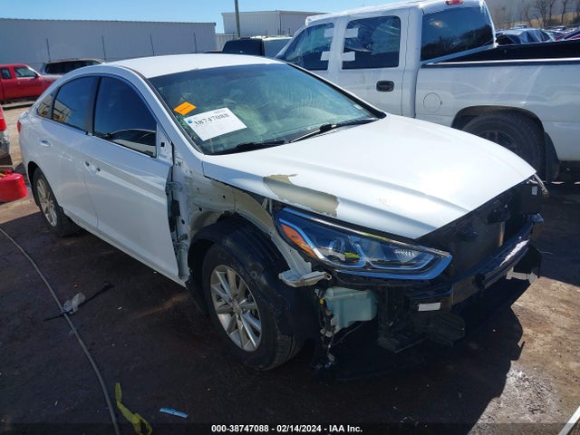 2019 5NPE24AF6KH798312 main image
