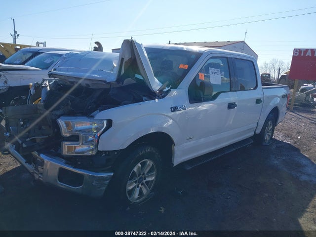 Ford F-150 Xlt 2015 1FTEW1EP8FFC58224 Image 2