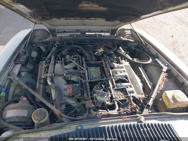 1985 JAGUAR XJS SAJNV584XFC117895 Photo 9