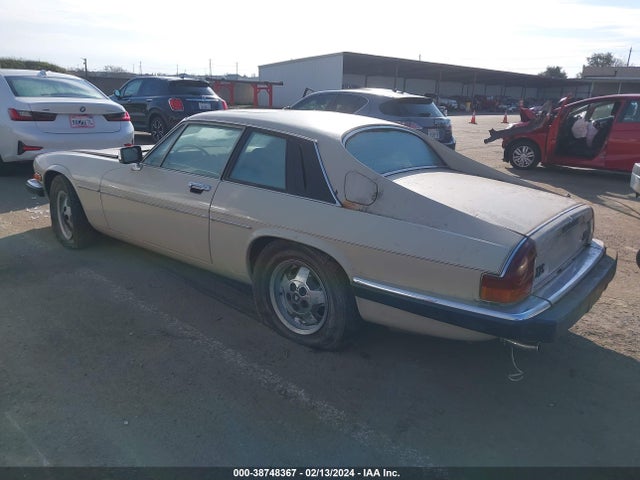 1985 JAGUAR XJS SAJNV584XFC117895 Photo 2