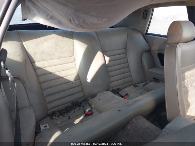 1985 JAGUAR XJS SAJNV584XFC117895 Photo 7