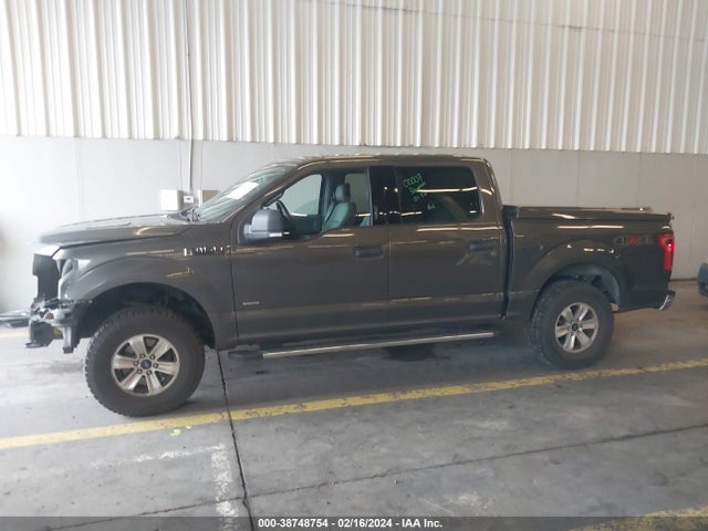 Ford F-150 Xlt 2015 1FTEW1EP3FKD98219 Image 14