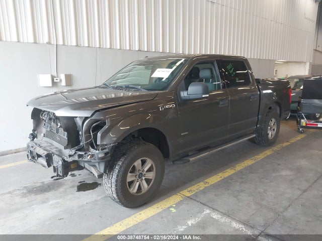 Ford F-150 Xlt 2015 1FTEW1EP3FKD98219 Image 2