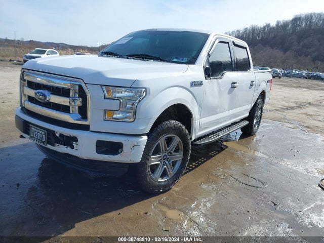 Ford F-150 Xlt 2015 1FTEW1EF6FKD17561 Image 2