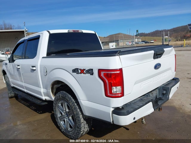 Ford F-150 Xlt 2015 1FTEW1EF6FKD17561 Image 3