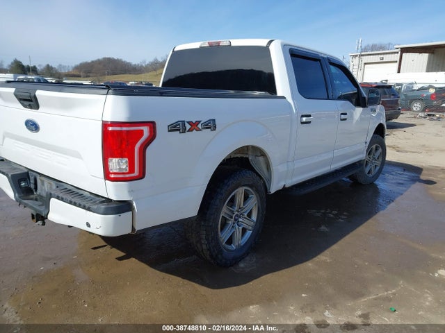 Ford F-150 Xlt 2015 1FTEW1EF6FKD17561 Image 4