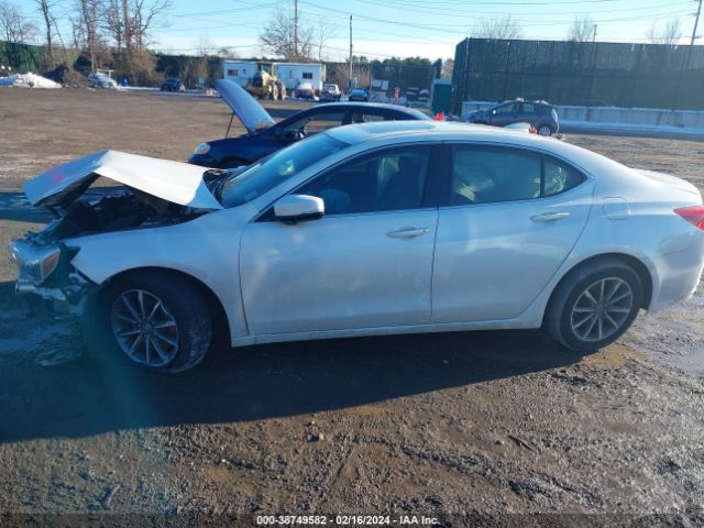 19UUB1F3XKA010195 Acura Tlx Standard