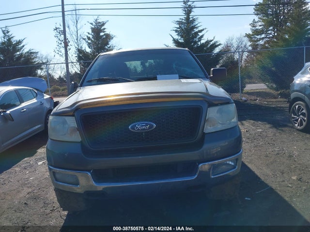2004 FORD F-150 FX4/LARIAT/XL/XLT VIN: 1FTPX14594NB20247