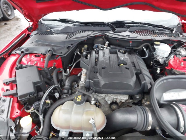Ford Mustang Ecoboost 2017 1FA6P8TH0H5293067 Image 10