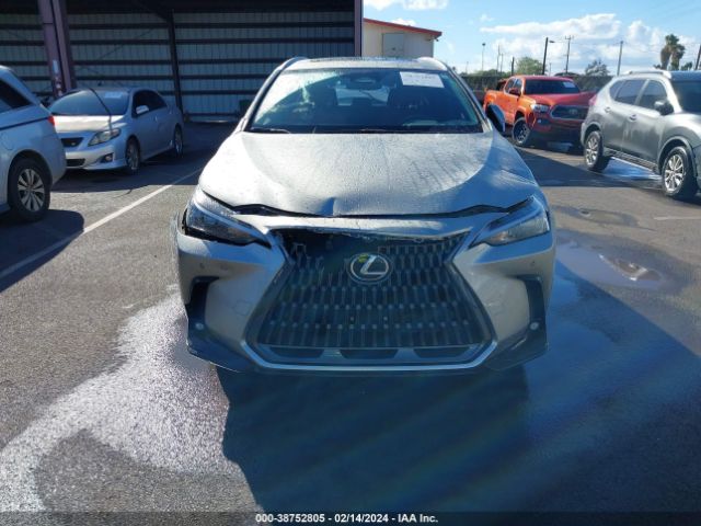JTJGDCAZ0P2007589 Lexus Nx 250 Premium