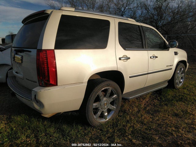 2009 CADILLAC ESCALADE STANDARD VIN: 1GYFC23239R202988