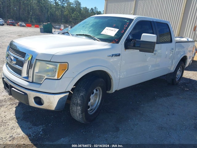 2010 FORD F-150 FX2 SPORT/HARLEY-DAVIDSON/KING RANCH/LARIAT/PLATINUM/XL/XLT VIN: 1FTFW1CV8AFD05525