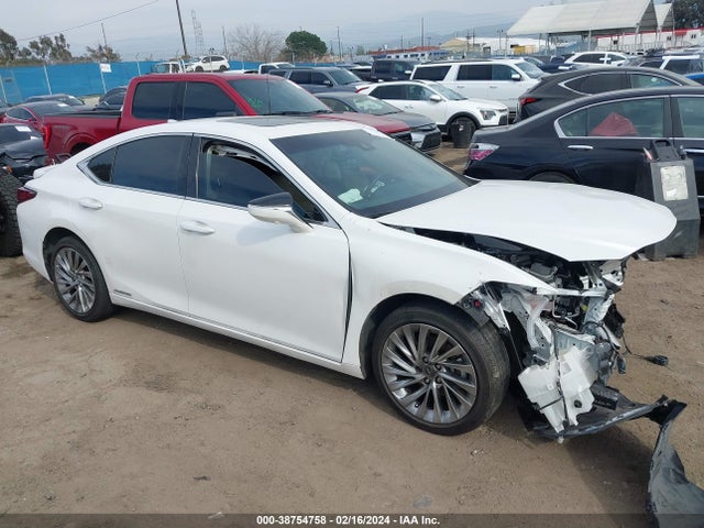 58AEA1C16MU003534 Lexus Es 300h Luxury