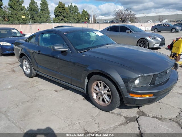 2007 FORD MUSTANG V6 DELUXE/V6 PREMIUM VIN: 1ZVHT80N075365809