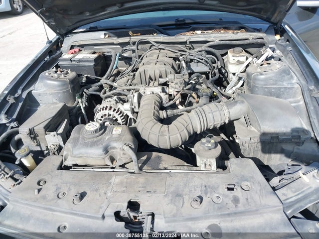 2007 FORD MUSTANG V6 DELUXE/V6 PREMIUM VIN: 1ZVHT80N075365809