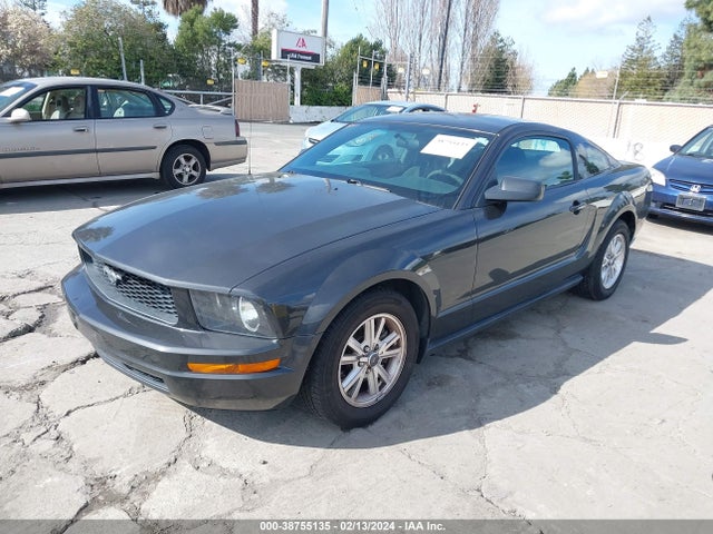 2007 FORD MUSTANG V6 DELUXE/V6 PREMIUM VIN: 1ZVHT80N075365809