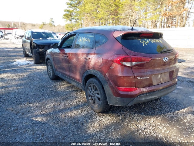 Hyundai TUCSON SE 2016 KM8J23A48GU109631 Image 3