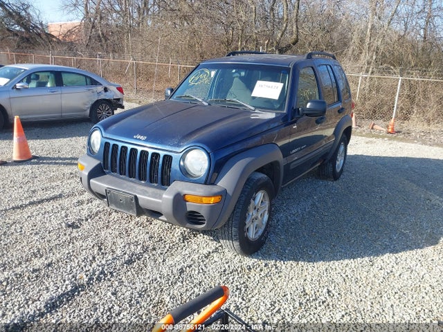 2003 JEEP LIBERTY SPORT VIN: 1J4GL48K33W699574